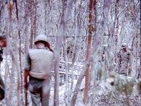 A B-52 strike which left huge bomb craters had hit very nearby just a few days before we entered the area.  Note all of the leaves blown off the trees and on the ground…..